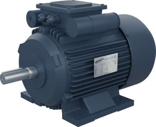 3 Phase Indusction Motors (Foot Mounted)