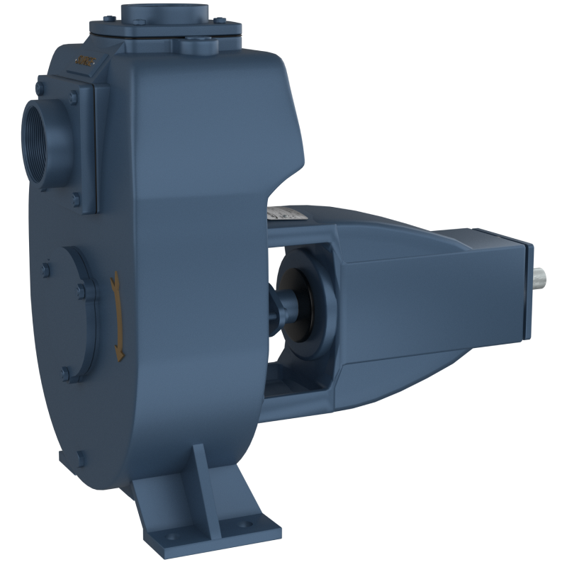 Bare Shaft Pumps (Gland / Seal Type)