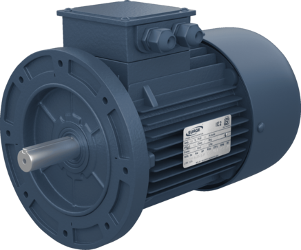 3 Phase Indusction Motors (Flange Mounted)