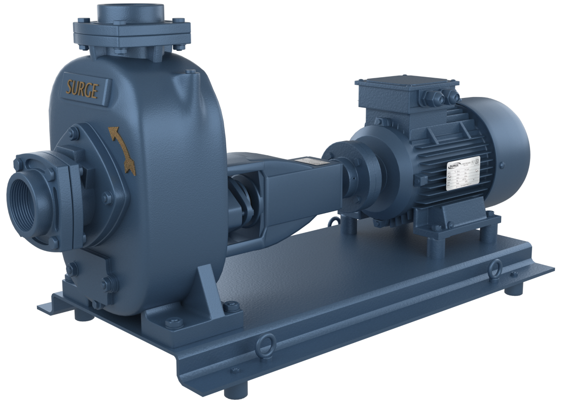 Motor Coupled Pump Sets (Gland / Seal Type)