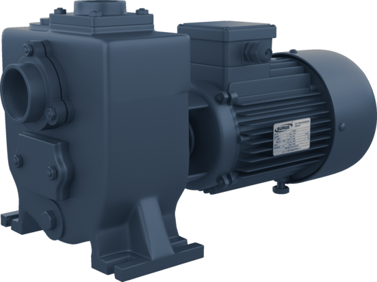 Monoblock Pump Sets (Gland & Seal Type)