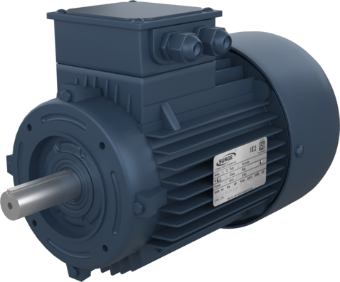 3 Phase Indusction Motors (Face Mounted)